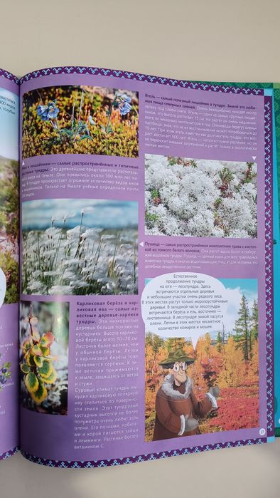 Большая книга новая