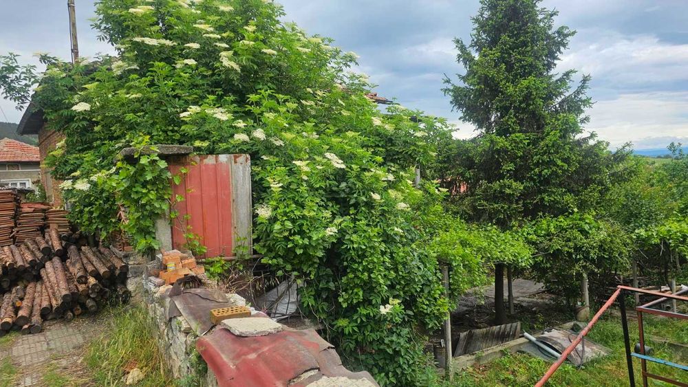 Недвижим имот - къща в село Дъбравите, обл.Пазарджик, община Белово