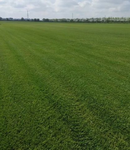 Gazon rulou sisteme de irigații