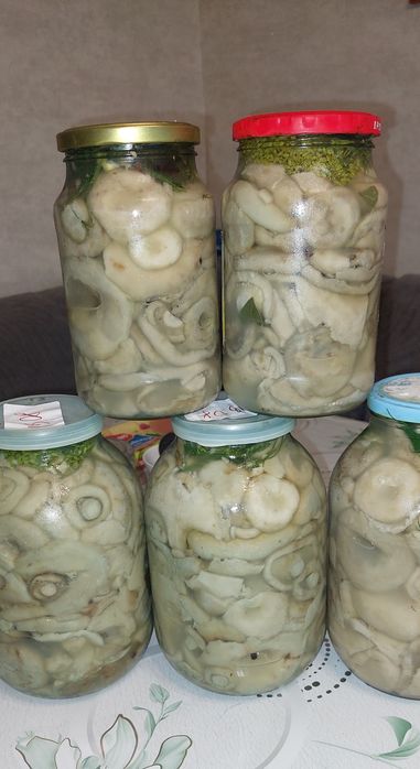 Продам солёные грузди