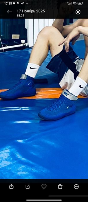 Барцовка найк инфлик