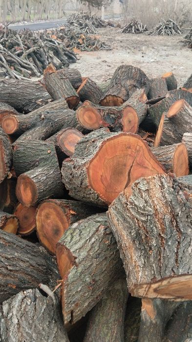 Утин Урик тайор бор