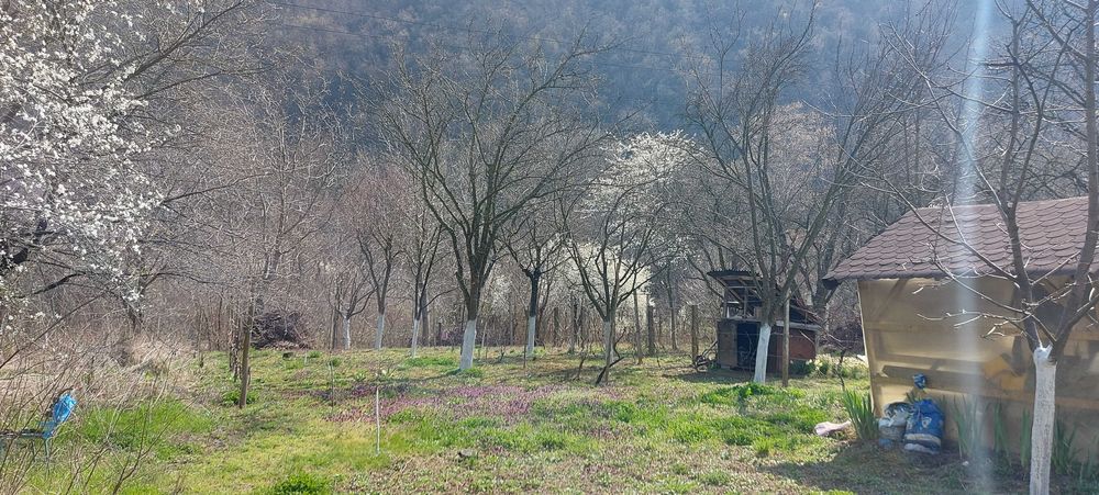 Teren  intrare Herculane ,E70.