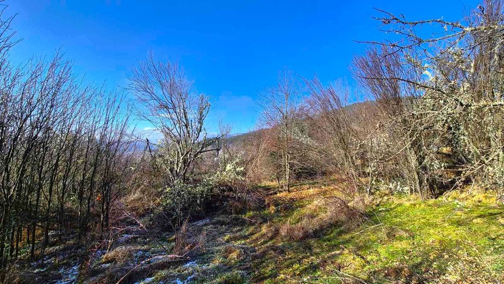 Парцел в регулация в с. Зелениград, Обл. Перник, Общ. Трън