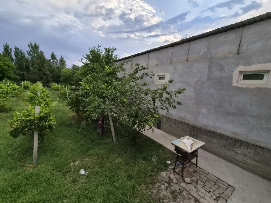 Срочный ховли сотилади