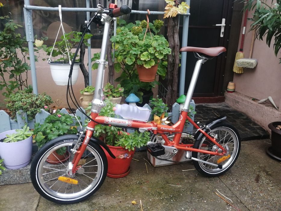 Bicii pliabila pegas Teoretic 16"