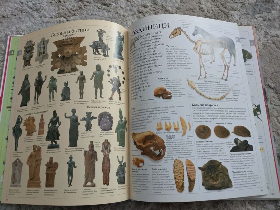 Семейна енциклопедия