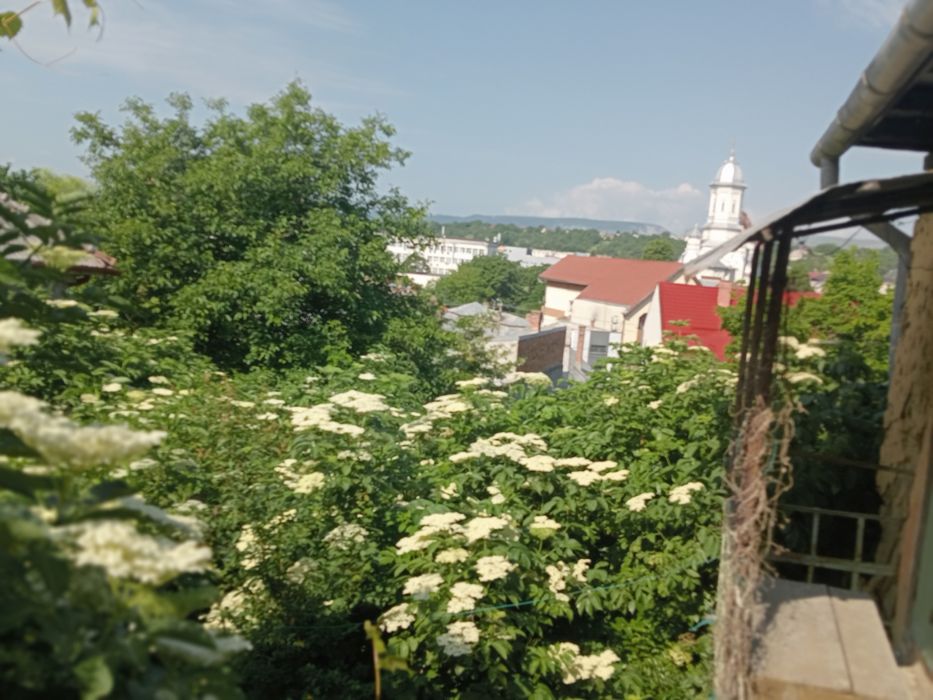 Executam lucrări de defrișat terenuri ,curățat pomi, Toaletare arbori