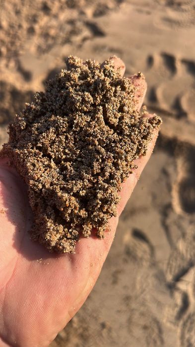 Услуги камаз доставка