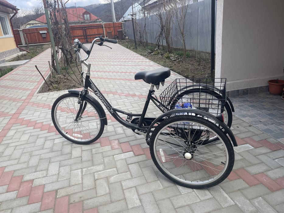 Bicicleta cu 3 roti pentru adulti Pegas