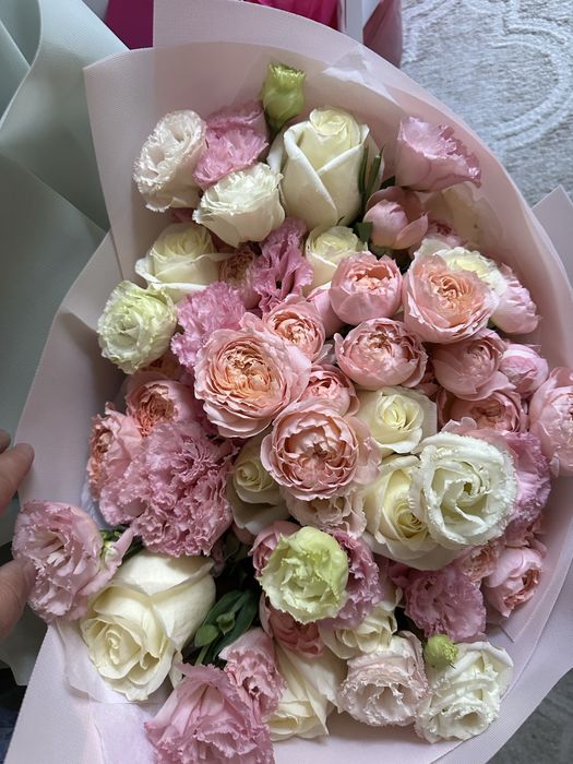 Продам б/у цветы разные