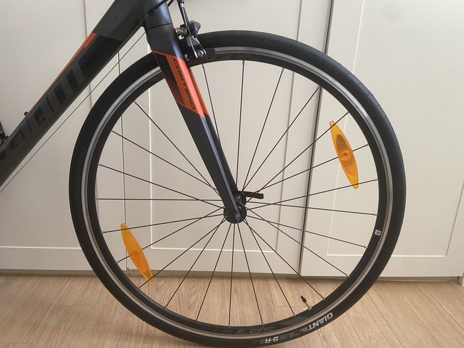 Giant Contend 1 2025