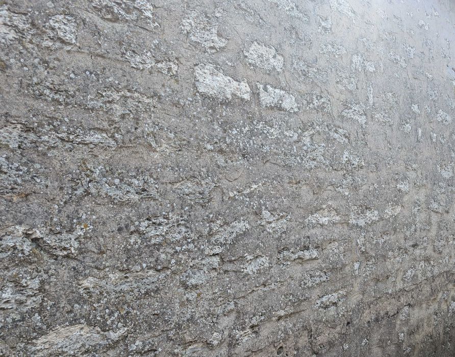 Продава се Къща в с. Горичане, Област Добрич - 107 кв.м за 550 €/кв.м - Снимка #9