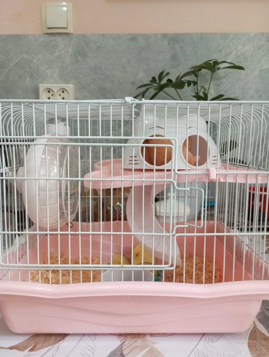Продам клетку с хомяком