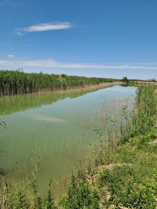 Земля! Продам 6,4 га земли.