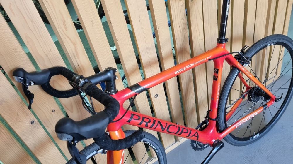 Cursiera carbon Principia