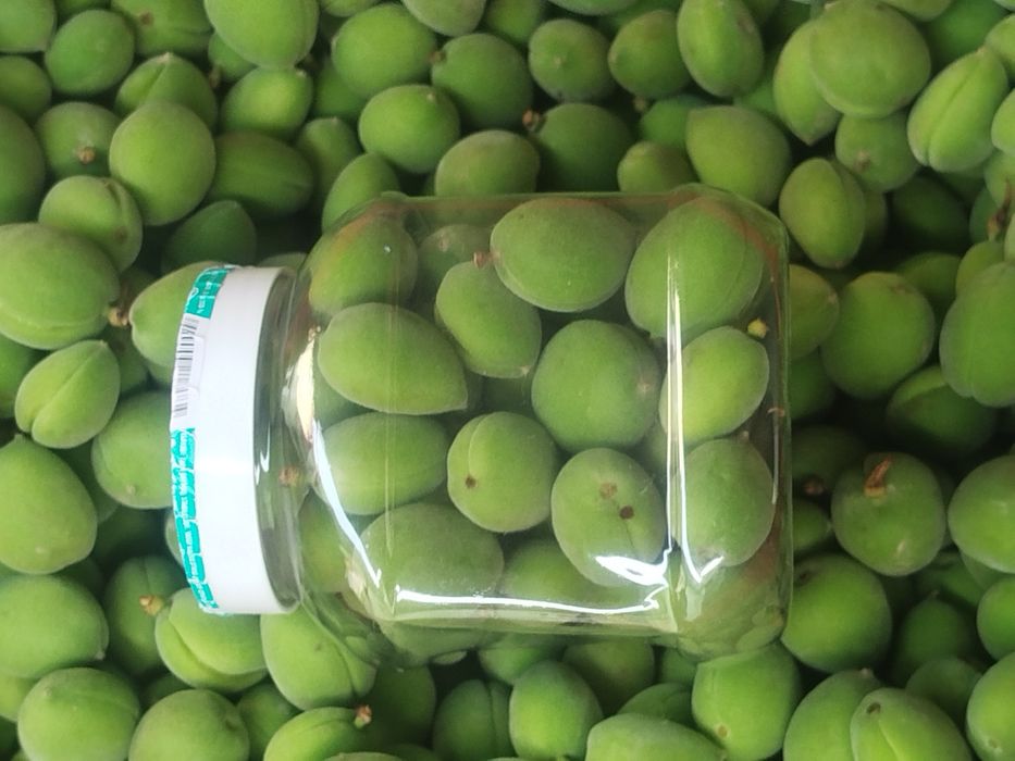 Куксултон равоч довча