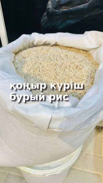 Қоңыр күріш, Бурый рис