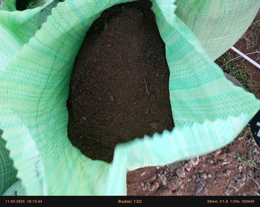 Gong biyogomus jirigan sifatli qoplangan