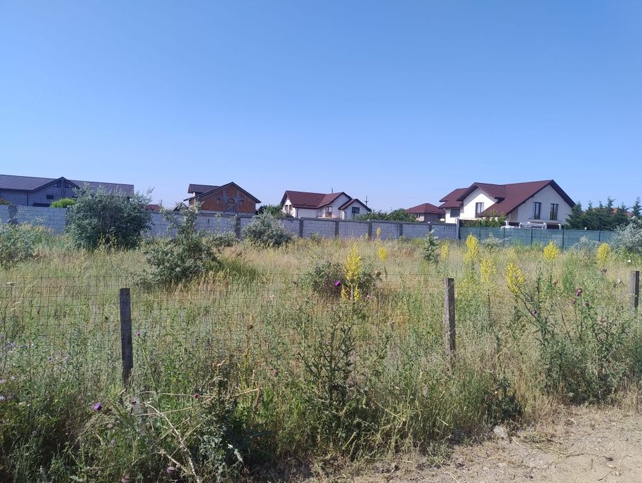 Vand lot de casa de 500 m2 satu costi in spate folicultura