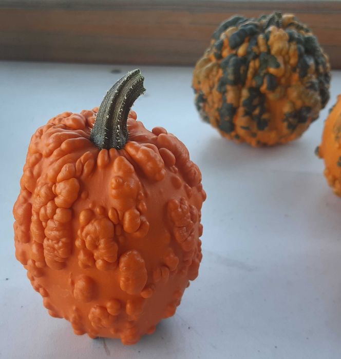 тыква декоративная