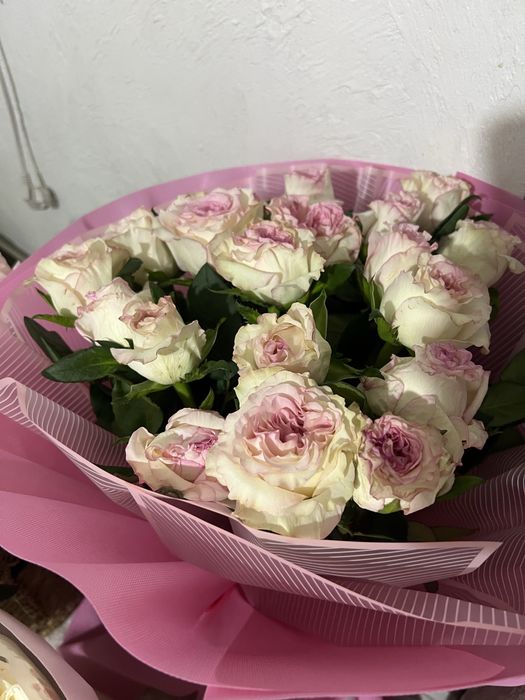 Продам цветы от 5000 до 8000