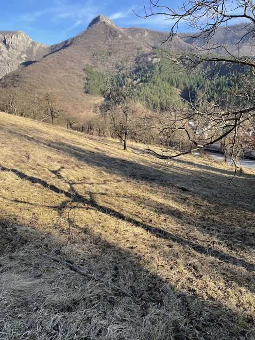 Продава се Парцел в с. Згориград, Област Враца - 3000 кв.м за 14 €/кв.м - Снимка #4