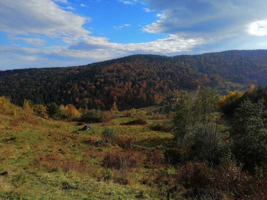 Teren Izvorul Alb Bicaz