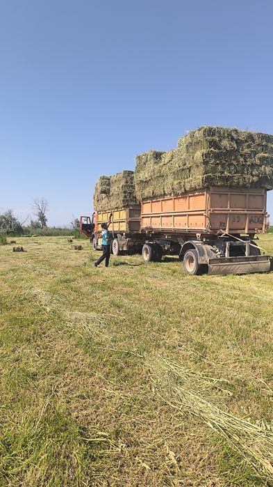 Продается сено естественное