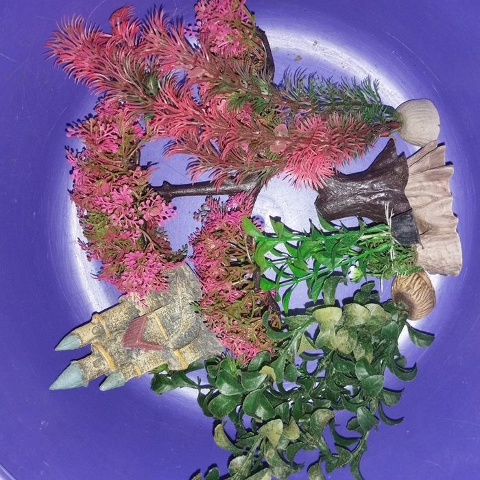 Аквариум продам 50 л