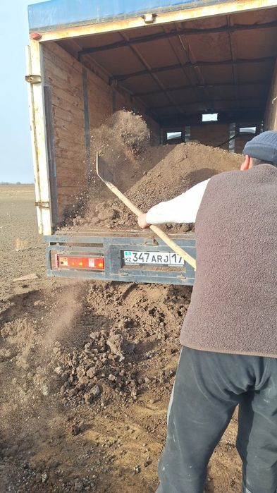 Күйген  қойдың көңі