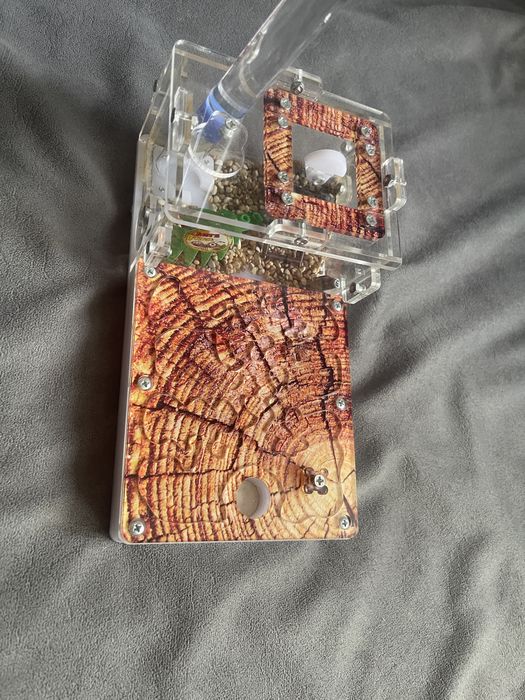 Муравьиная ферма