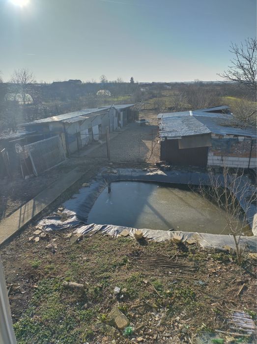 Casa + hala de vanzare