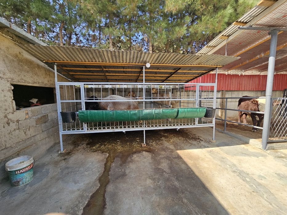 Хороший состояние