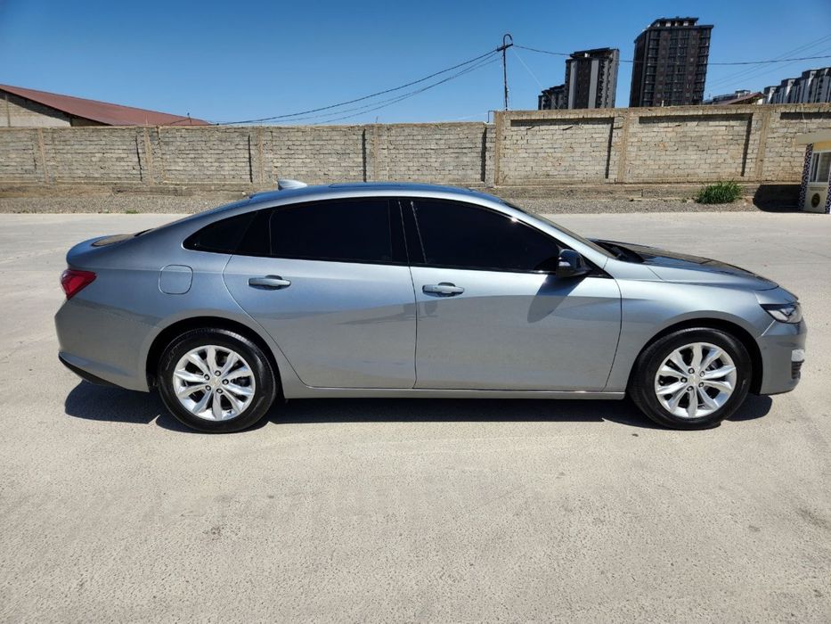 Malibu 2 XL full. Kulrang 2024.