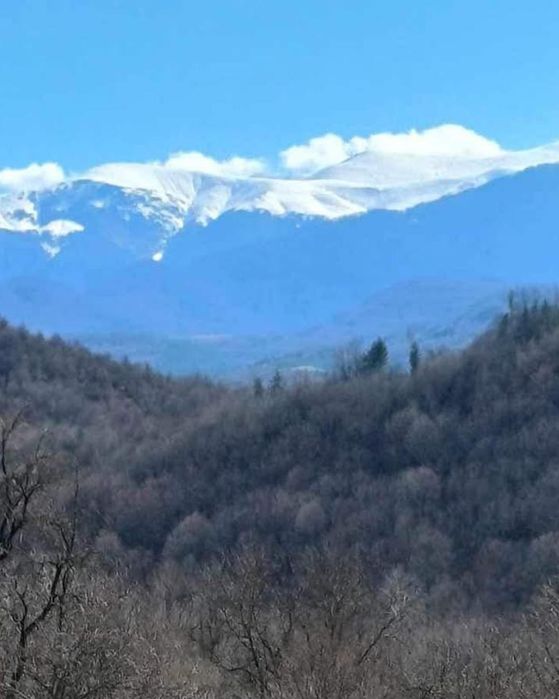 Продава се Къща в Варна, м-т Траката - 180 кв.м за 665 €/кв.м - Снимка #11