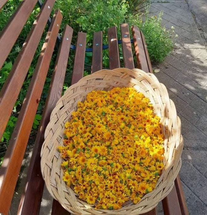 Alifie din gălbenele