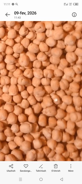 Noʻxat sotiladi loʻnda