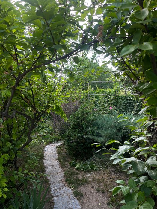 Дачный участок с домом