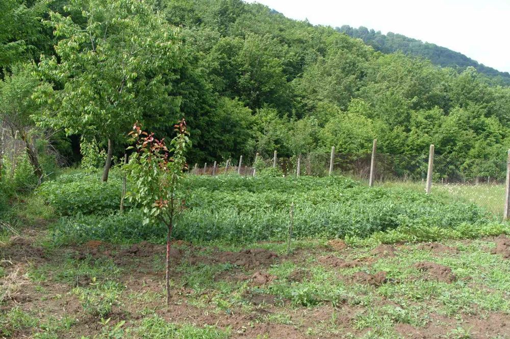 Продава се Парцел в Троян - 700 кв.м за 14 €/кв.м - Снимка #1