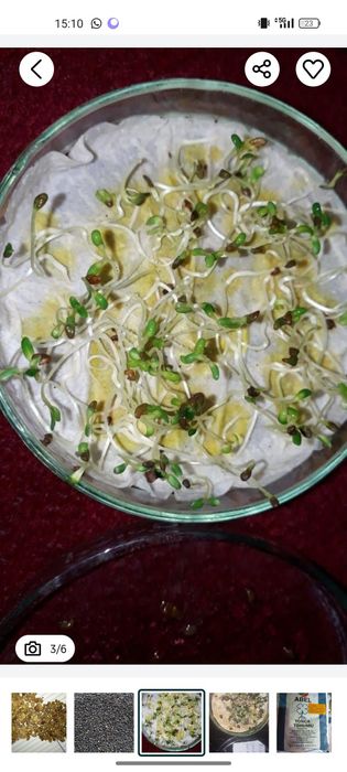 Житняк суданка эспарцет люцерна бидай арпа