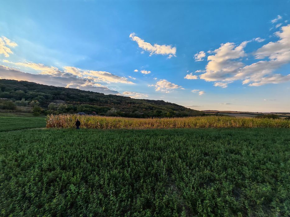 Teren intravilan Spalnaca jud Alba