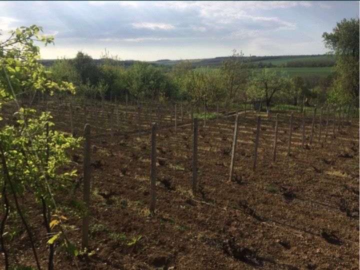 Продава се Къща в Плевен, Индустриална зона - Запад - 20 кв.м за 600 €/кв.м - Снимка #3