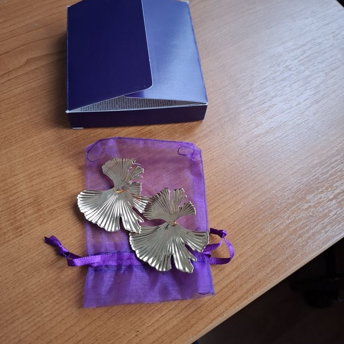 Бижута обици и синджирче