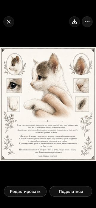 Отдам котят, мальчика и девочку