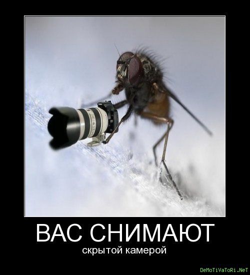 Видео наблюдение и все в этом направлении