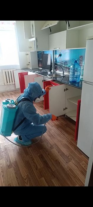 Dezenfeksiya xizmati Biokon.uz ishonchli samarali yechim