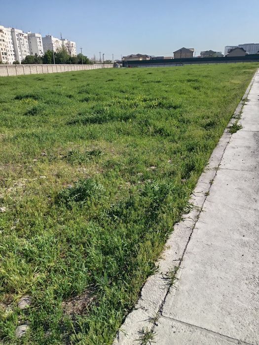 Хашак молга текинга сергелида