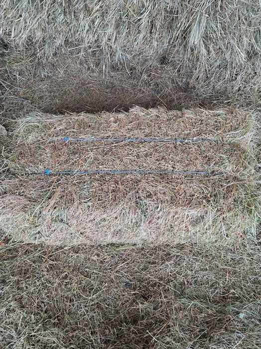 Vând baloți de fân.