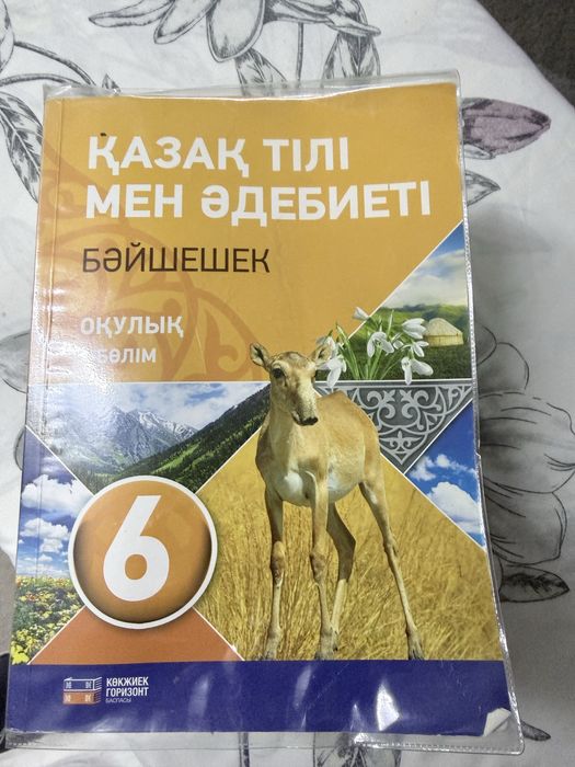 Учебники 6 класс.